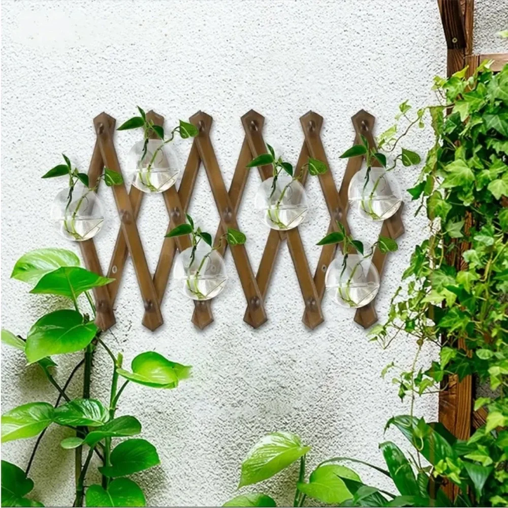 🌿 6 Pc Set of Glass Wall Planter Bowls Brighten Up Your Room 🌾🪴🎋🍃